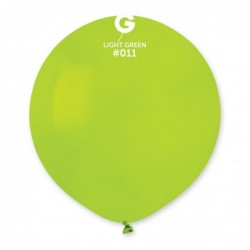 #011 Light Green Standard Color 19 in