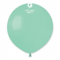 #077 Mint Green Standard Color 19 in